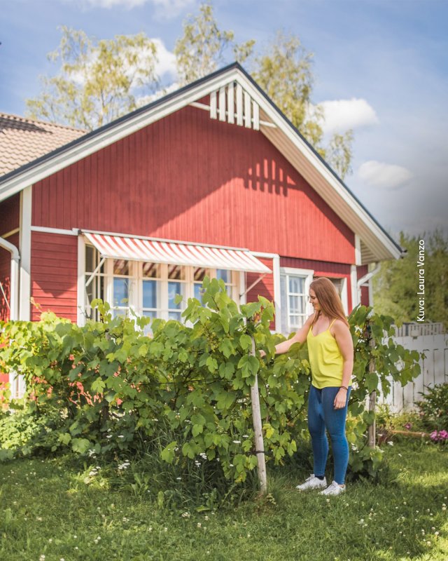 Nainen seisoo marjapensaan vieressä.